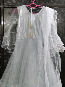 Elegant Ethnic Gown