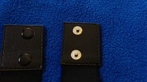 Black  Belt / Gold Cat