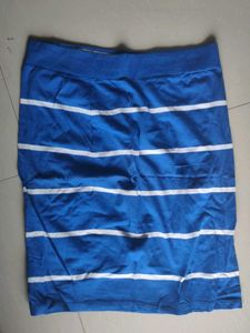 Blue Striped Skirt