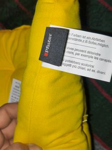 Pfister Brand Chair Pad