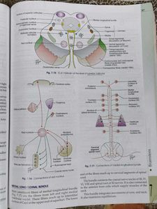 Human Anatomy Vol. 4 with workbook