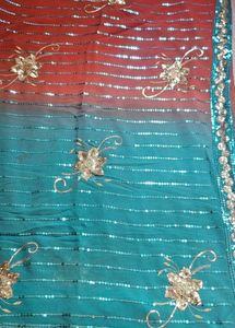 Elegant Embellished Saree