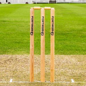 Revive Cricket Wicket Set