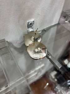 Brownish Earrings