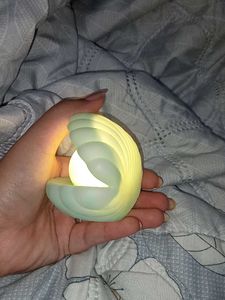 Clam Shell Night Light