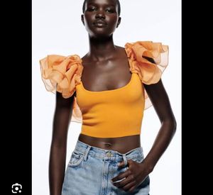 Zara Organza Sleeves Crop Top