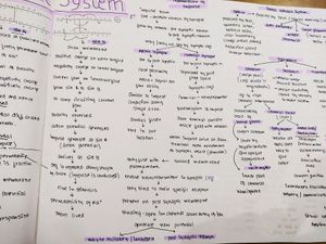 Class-11/NEET Biology Mindmap/notes