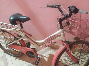 Girls Cycle Pink Colour