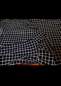 Blue &amp; White Palazzo Set💙🤍