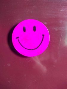 Fridge Magnets Set -12 Pcs