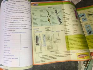Allen Biology Modules - Complete Set