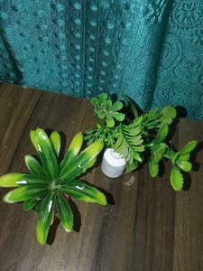 2 Flower Pot ,2inch