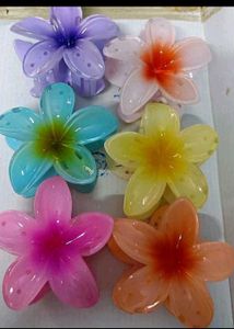 ⭕️Set Of 6!! Trendy Hibiscus Claw Clips