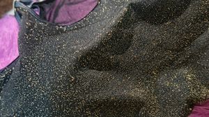 Glittered Blouse Bra