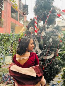 Velvet Designer Dress