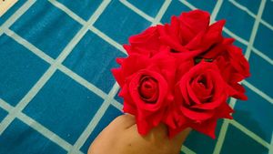 5 Red Roses Hair pins