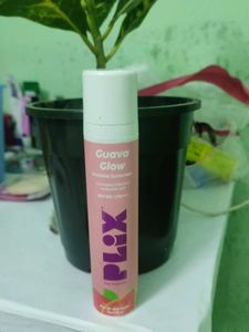 Plum Guava Glow Sunscreen