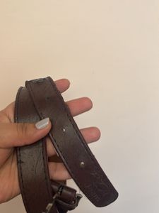 Classic Brown Belt