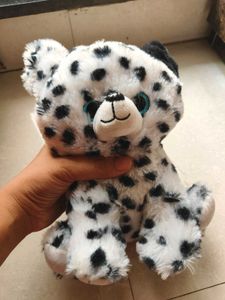 Cute Little Furry Friend