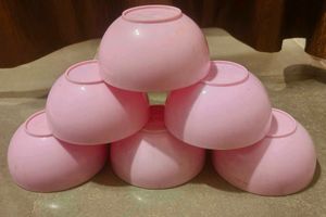 Pink Plastic Bowl and Plate Set