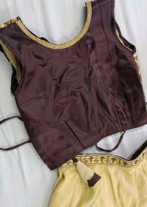 Elegant Lehenga Choli Set