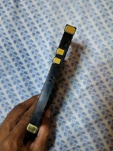 iPhone 11 Back Cover