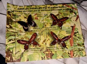 Miniature:  Butterflies of Andaman&Nicobar