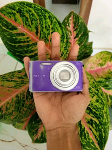 Sony Cybershot Dsc-w830 Digital Camera