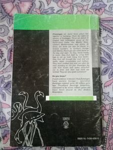Flamingo English NCERT Textbook For Class XII