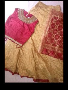 Embroidered Lehenga Choli Set