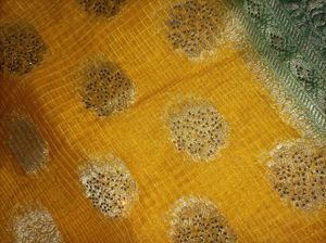 Organza Saree