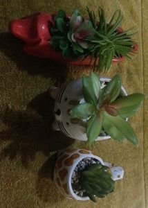 3-Pcs Combo Cute Artificial Succulent Set
