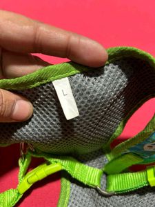 Dog Harness with Leash