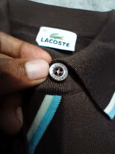Lacoste Brown Knit lite sweater
