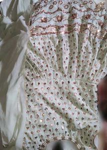 Pastel Green Heavy Embroidered Partywear Dress wit