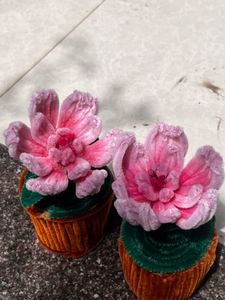 Flower Pot