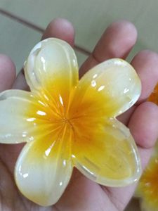 Flower Hair Clips (Set of 6)