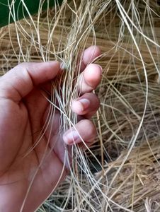 Grass Container/Tokri