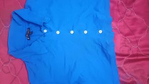 Blue Crop Shirt  (Top)
