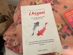 Geronimo Stilton: Wedding Crasher