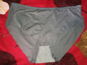 Used Gray Soft Panty