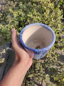 Elegant Blue Ceramic Pot For You Table