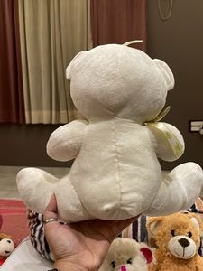 Teddy Bear Collection