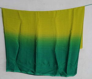 Gorgeous green 💚 ombre saree with light &amp; dark sh