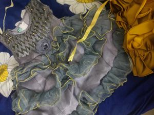 Gold And Silver Frock