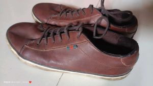 Brown Casual Shoes