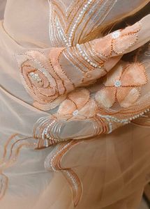 Peach Embellished Saree
