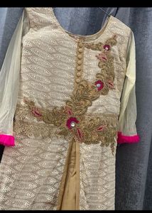 Elegant Ethnic Gown