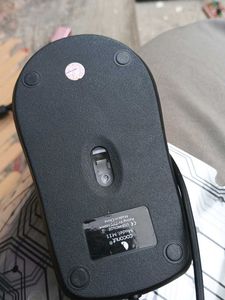 Mouse