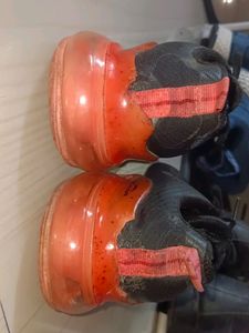 Skechers Shoe